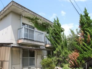 放置された空き家は、庭木の枝が隣地まで伸びるなどさまざまな問題を引き起こす