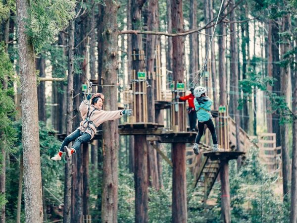 菰野町観光協会ホームページのワーケーションを紹介するページ。ワーケーションがどのようにできるのかをより理解してもらうため、プロモーション動画を作成して公開している