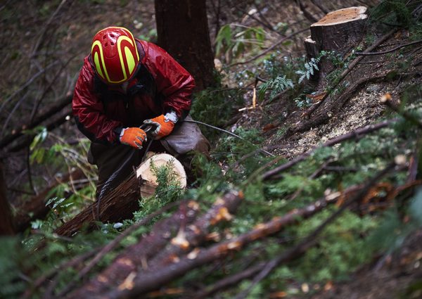 日本の林業は、深刻な労働力不足にあり、また林業従事者の高齢化率（65歳以上の割合）は25%で</br>全産業平均13%の2倍となっている