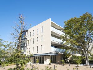 マンションの規模に関わらず、各住戸の所有者はマンションの管理組合の構成員となる。この構成員の中から代表者が選ばれ、理事会が組織される