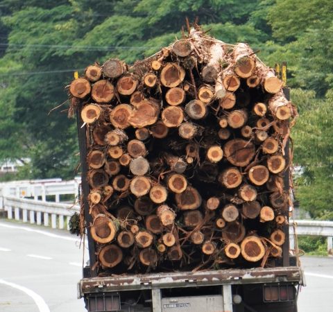 持ち山を売りたいという希望はたくさんあるものの、すべてが売り出される訳ではなく、“狭き門”を通った山だけが「売却物件」としてスタートラインに立てる…というのが山林売却の現状のようだ