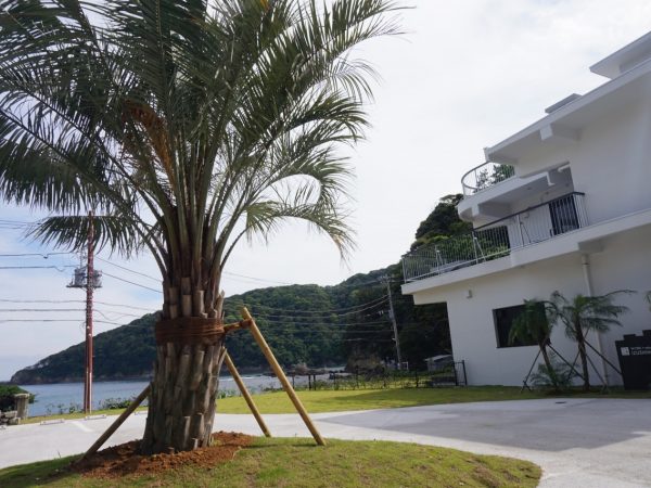 海辺にあるワーケーション施設は、リゾート感満載だ