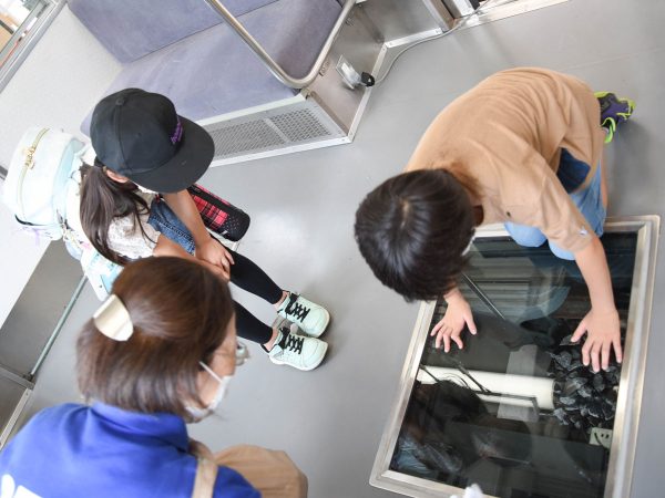 車内には、子どもや電車好きにはたまらない仕掛けがたくさん