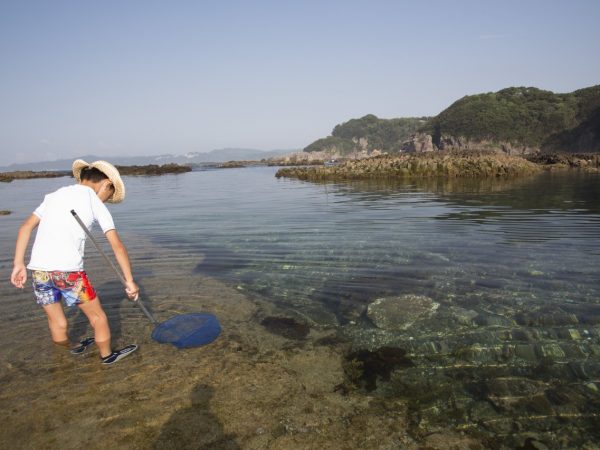 下田市には南国の植物も多くあってエキゾチックだ