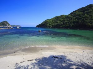 下田は入り江が多く、澄んだ海が美しい。海の開放感を求めて移住希望者も増えたそう