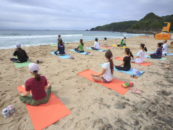 下田市には南国の植物も多くあってエキゾチックだ