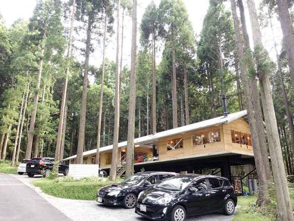 蒜山高原の森に佇む「もりくらす」。真っすぐに伸びたスギの木々に囲まれている