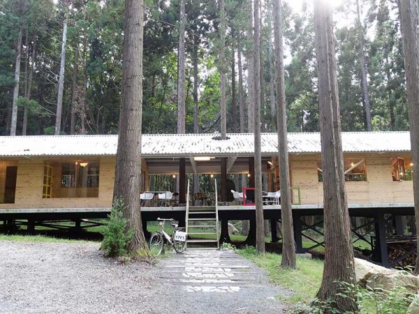 スギの木々と共存する、「もりくらす」の設計。設計は岡山市のデザイン事務所、株式会社シファカによるもの