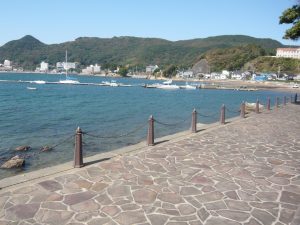 海辺の散策もいろいろな出会いをもたらす