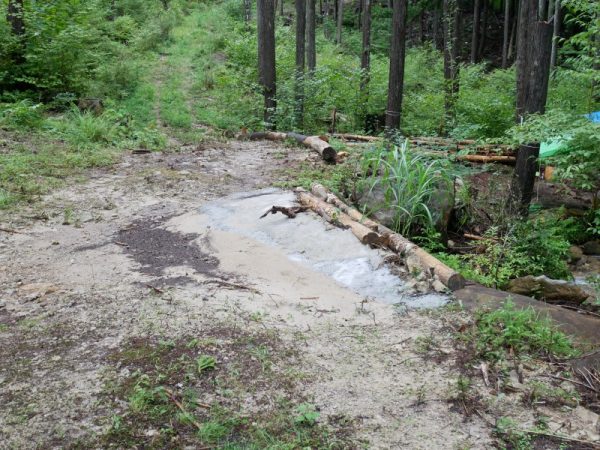 2021年7月にオープンした源藤エリアの区画。ここは田口さんらが管理委託を受けてキャンプ地にした場所。山主の間でも「forenta」の仕組みが周知されれば、森の在り方が変わっていくかもしれない