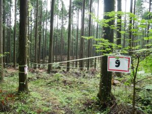 2021年7月にオープンした源藤エリアの区画。ここは田口さんらが管理委託を受けてキャンプ地にした場所。山主の間でも「forenta」の仕組みが周知されれば、森の在り方が変わっていくかもしれない