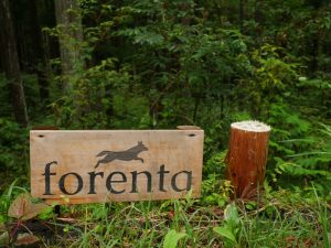 お茶とひのきと清流の里・東白川村は名古屋から車でおよそ1時間30分ほど。週末キャンプの場所としては打ってつけの場所だ