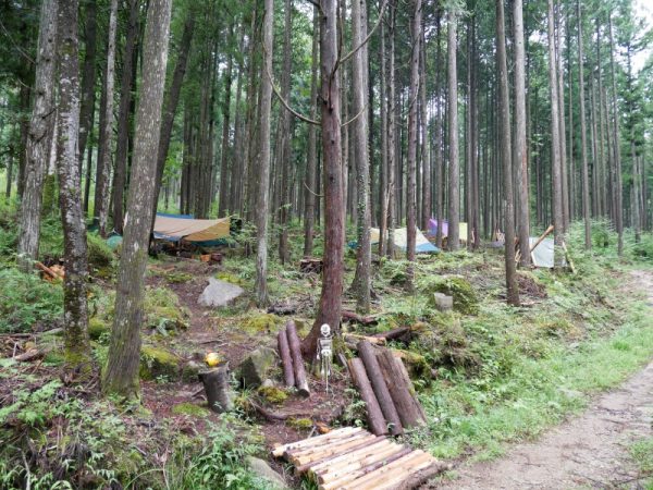 2020年11月にオープンした第１期のレンタル区画。柵や玄関口は利用者が自分で作ったもの