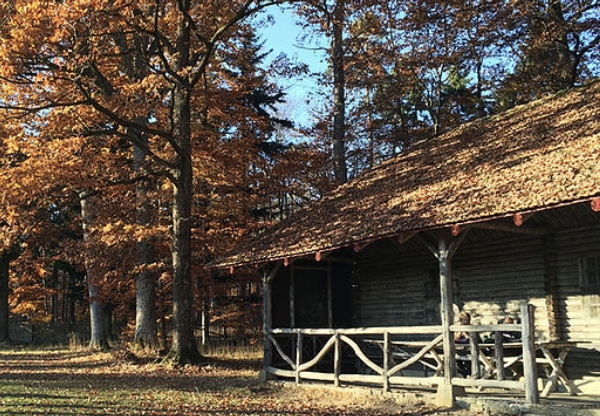 まちを囲むように森林が広がるドイツ。森に遊びに行くことはごく普通の日常のようだ。「日本ももっと自由に人が出入りできて、森の恵みをみんなで享受できるような仕組みと受け皿をつくる必要がある」と田口さんは言う（写真提供：forenta）