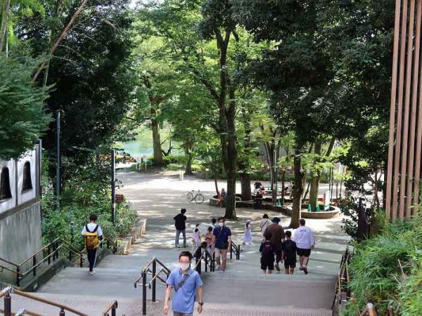 関東ローム層と湧水の関係についての説明。同じくらいの標高の場所にいくつもの湧水スポットがある