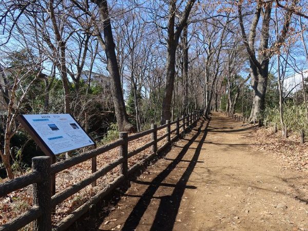 玉川上水。遊歩道が整備されているのでどれだけの距離があるか、歩いてみるのも楽しい