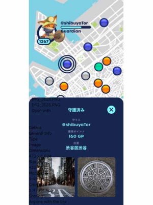東京都の下水道台帳。本題とは離れるが、注目したいのは水路敷、つまり暗渠も記載されているということ。水害、地震に関して知る際にも下水道台帳は役に立つわけだ