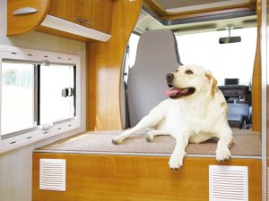 愛犬を同伴して旅を楽しめるよう、工夫がちりばめられている室内