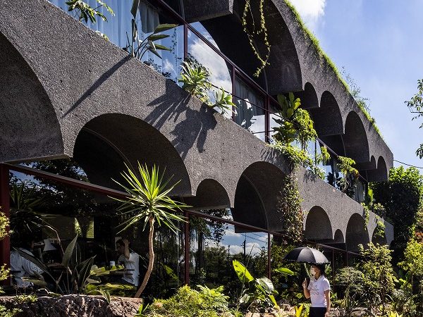 竣工間もないというのに緑に覆われている鶴岡邸。もう少し時間が経てば緑の箱のようになっていくに違いない　撮影/Masaki Hamada (kkpo)