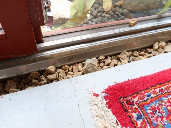 竣工間もないというのに緑に覆われている鶴岡邸。もう少し時間が経てば緑の箱のようになっていくに違いない　撮影/Masaki Hamada (kkpo)