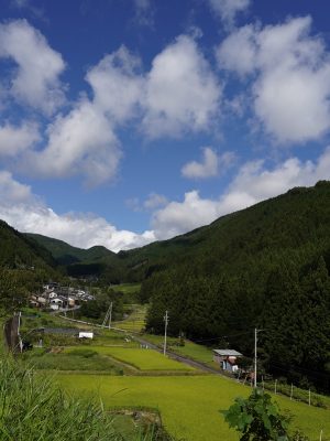 根羽村の風景