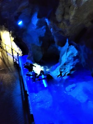 稲積水中鍾乳洞では、水に潜るダイビングツアーも開催している。ここをサウナの水風呂として利用する