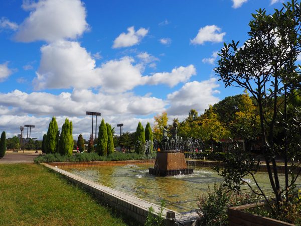 長居公園には、緑あふれる自然がある。写真提供：わくわくパーククリエイト株式会社