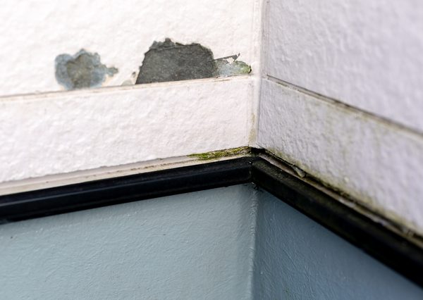 塗装が剥がれた箇所から水が浸入し、建物にダメージを与える