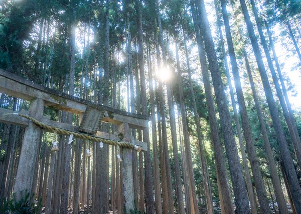 どの神社にお参りするのか迷った場合は、自身の氏神神社に初詣をしよう