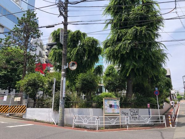 改修前の北谷公園。樹木が育ち過ぎて公園内が見えなかった（写真：日建設計）