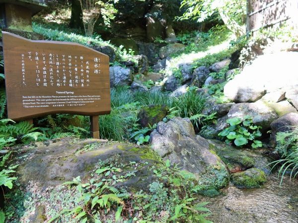 一番底に池があり、崖の上には茶室。背後には駅前のタワーマンション