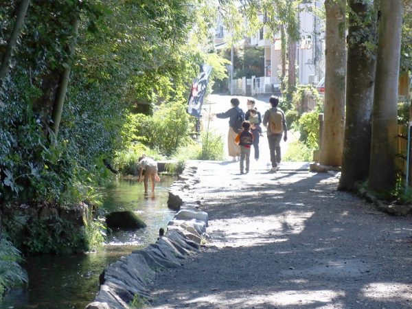 どこの水路もきちんと手入れされており、水だけでなく周囲も美しかった