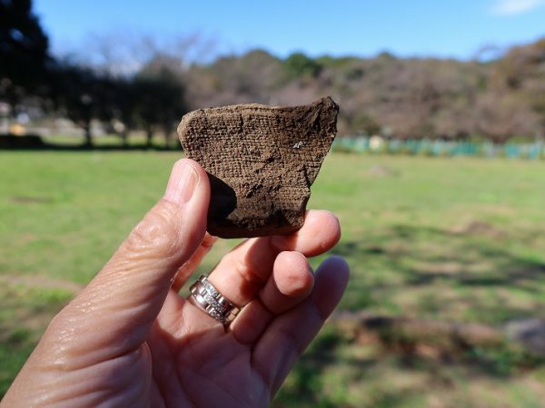 緑の国分寺崖線を背に真貝さん。新著を手にしていただいた
