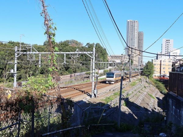 線路の向こう、緑の部分が日立中央研究所。ここからの湧水が線路の下から野川として流れ出ている。奥に見えるのが国分寺駅前のタワーマンション