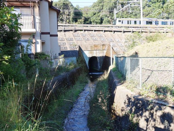 線路の向こう、緑の部分が日立中央研究所。ここからの湧水が線路の下から野川として流れ出ている。奥に見えるのが国分寺駅前のタワーマンション