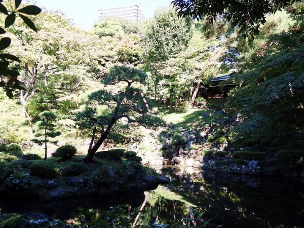 一番底に池があり、崖の上には茶室。背後には駅前のタワーマンション