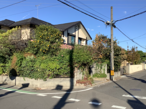 盆栽村の住宅はどこも庭が立派だ