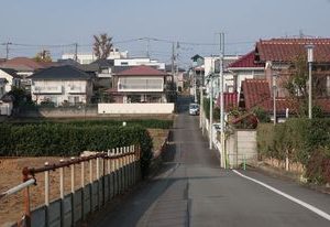 平安窪。明らかに窪んでいるが、なぜ、こういう窪地ができたかは諸説あり、分かっていない<br>写真提供/真貝康之
