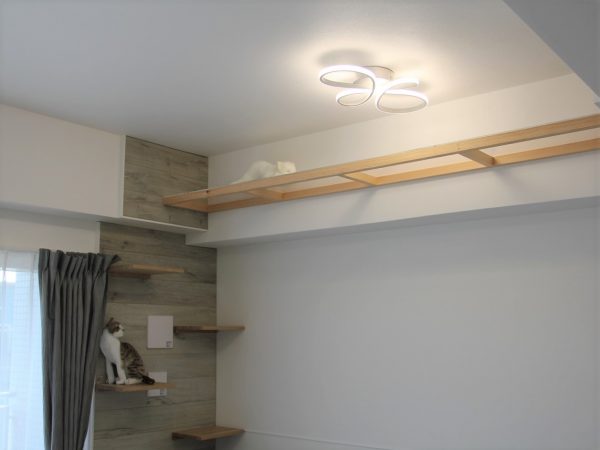 壁クロスを上下で貼り分けることで、猫の爪とぎなどで傷や汚れがついても、全面的な貼り替えが不要となる工夫がされている