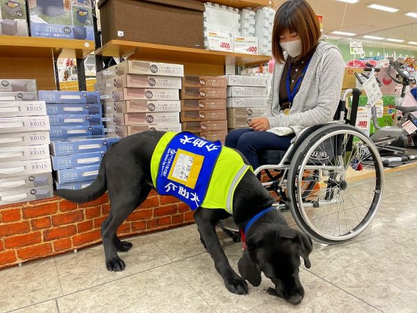 「シンシアの丘」が立つのは愛・地球博記念公園（モリコロパーク）の近く。自然豊かで、高速道路のICも近い恵まれた環境