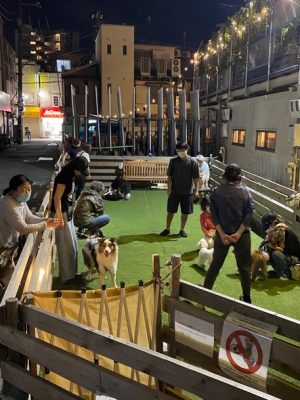 人気が高かったドッグラン。言われてみるとこの地域は住宅が密集しており、犬が走れる空間はあまりない