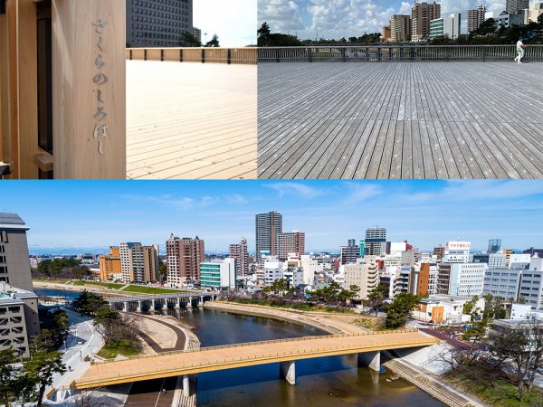 桜城橋（さくらのしろばし）という名前は、「桜の名所である岡崎城を『桜の城』と例え、新しい橋から見える」と名付けられたもので、公募で集まった4,000件を超える候補の中から選ばれた。多彩かつユニークなイベントが開催されたり、月に1回有志たちが橋を雑巾がけするなど、早くも地域に愛される自慢のスポットとなっている