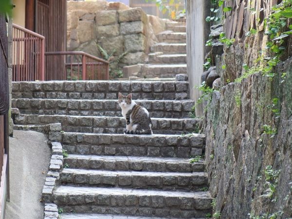 LOGの屋上から見た尾道水道。アパート時代にも眺望のよい場所として人気だった
