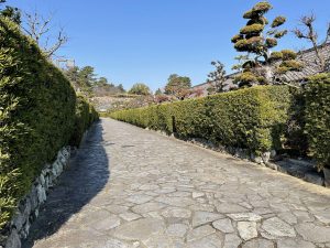 手入れの行き届いた槙の生垣と石畳が、風情ある美しい景観をつくりだしている。「垣間見る」という語源どおり、垣根の間から今の暮らしがチラリと垣間見える