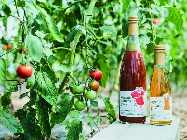 有機JASを取得した「イナゾートマト」