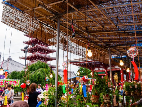 浅草寺のほおずき市