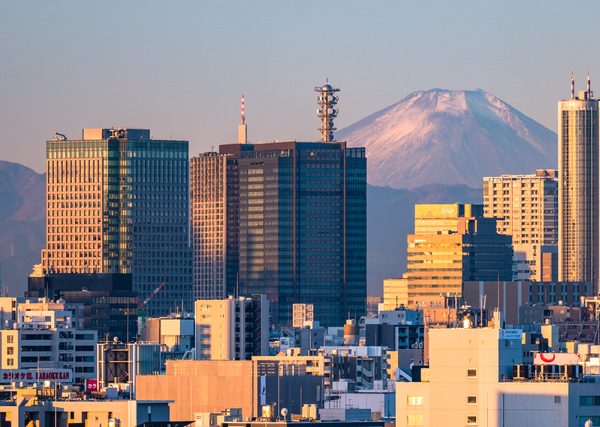 <b>榊原 渉</b>：
1998年3月早稲田大学大学院理工学研究科建設工学専攻 修了。1998年4月株式会社野村総合研究所 入社。2017年4月グローバルインフラコンサルティング部長。2020年4月コンサルティング人材開発室長。現在 コンサルティング事業本部 統括部長 兼 サステナビリティ事業コンサルティング部長 兼 コンサルティング事業本部 DX事業推進部長、北海道大学客員教授。専門は建設・不動産・住宅関連業界の事業戦略立案・実行支援
