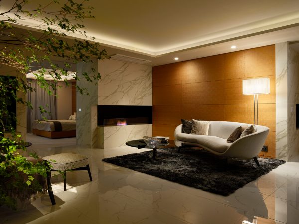 既存リノベ部の室内の様子。歴史ある高級ホテルのような、アンティークな調度品が似合いそうな空間だ