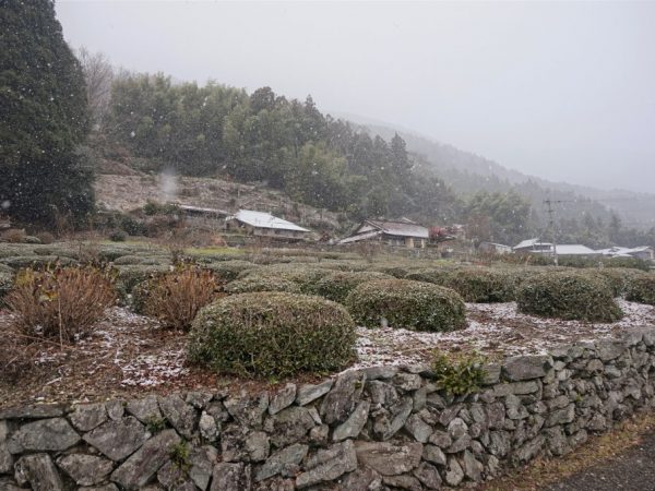 雪の中、宿の玄関前に立つオーナーの安達さん。この集落では家ごとに名前が付けられていて、「みちつじ」という屋号は、もともとこの家屋の立地が代々受け継ぐ名前だとか