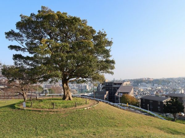 デザインが可愛い水栓。蛇口部分に獅子があしらわれている